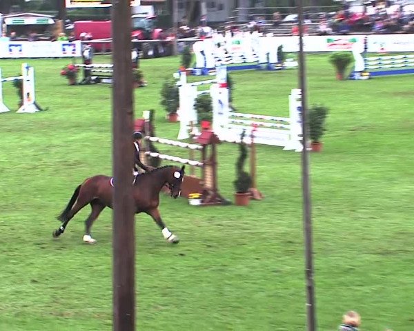 Reitturnier Bad Segeberg 2015