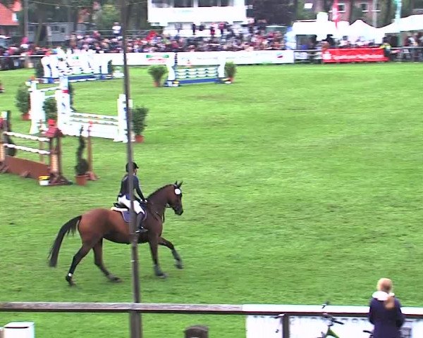 Reitturnier Bad Segeberg 2015