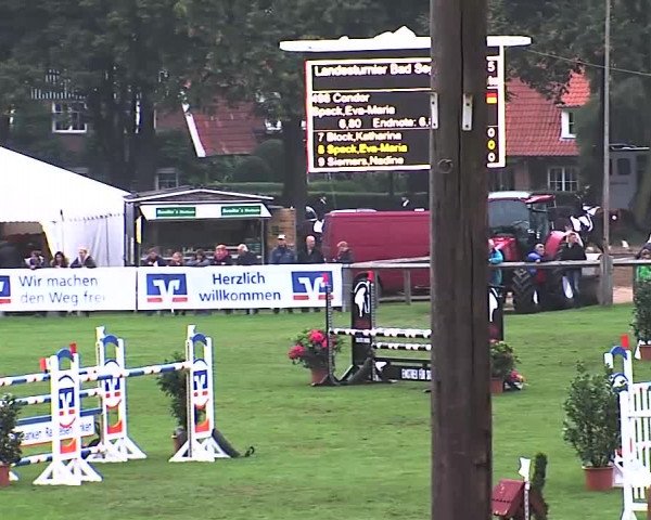 Reitturnier Bad Segeberg 2015