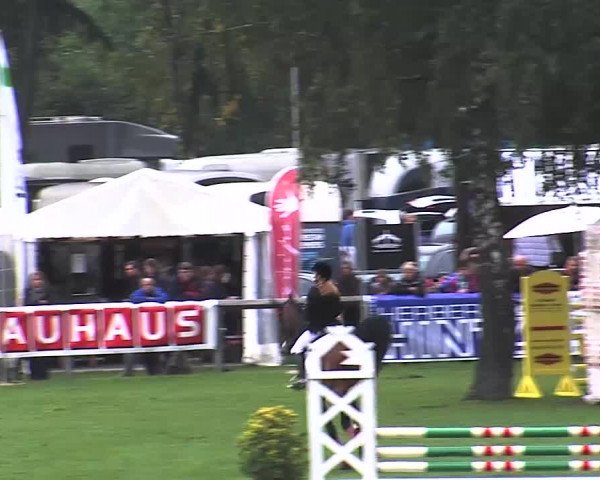 Reitturnier Bad Segeberg 2015