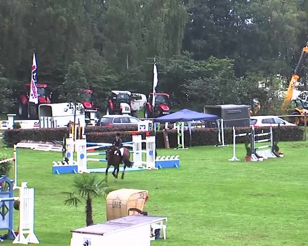 Reitturnier Bad Segeberg 2015