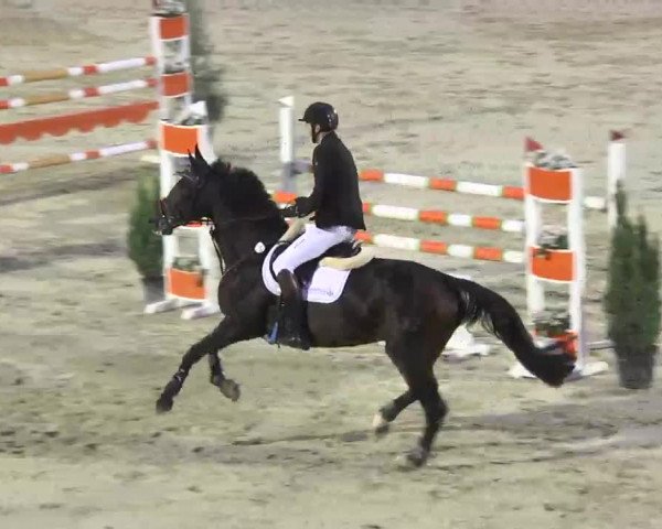 Reitturnier Linkenheim-Hochstetten 2015