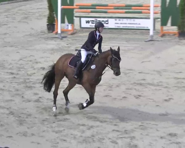 Reitturnier Linkenheim-Hochstetten 2015