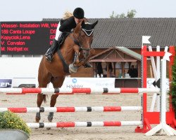 jumper Canta Loupe (German Sport Horse, 2006, from Corvalon)