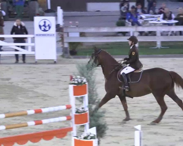 Reitturnier Linkenheim-Hochstetten 2015