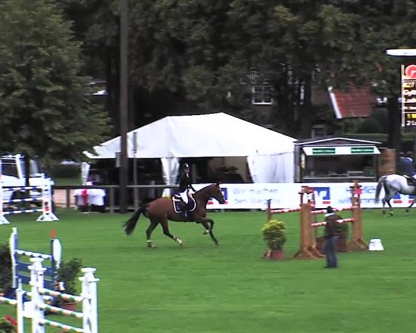 Reitturnier Bad Segeberg 2015