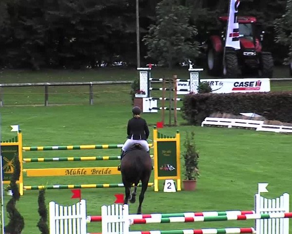 Reitturnier Bad Segeberg 2015