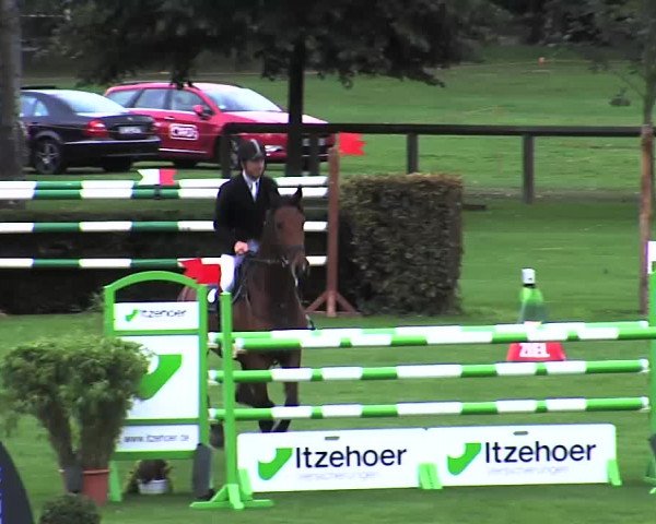 Reitturnier Bad Segeberg 2015