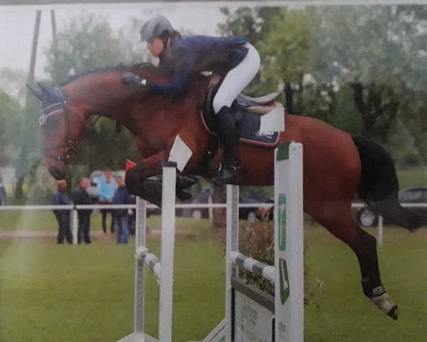 broodmare Anny get ready (Westphalian, 2011, from Arpeggio)