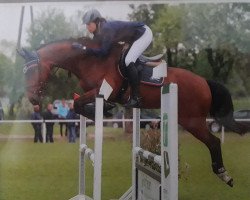 broodmare Anny get ready (Westphalian, 2011, from Arpeggio)