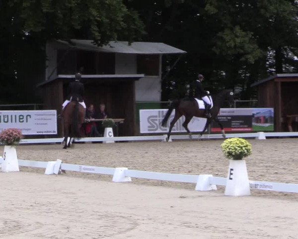 Dressurturnier Meinerzhagen 2015