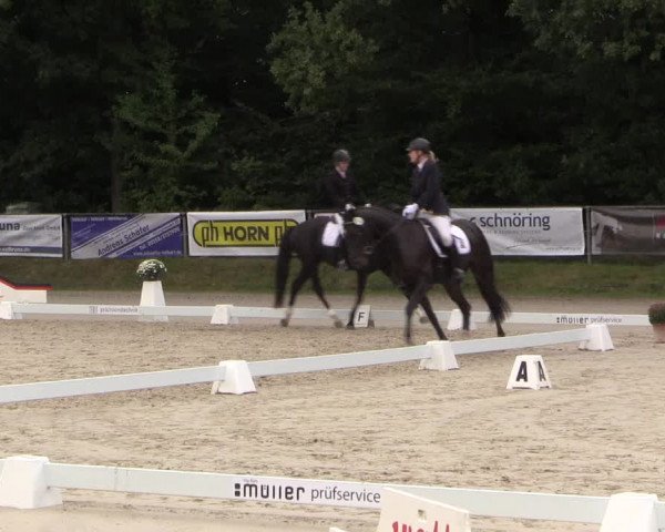 Dressurturnier Meinerzhagen 2015