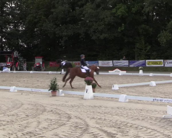 Dressurturnier Meinerzhagen 2015
