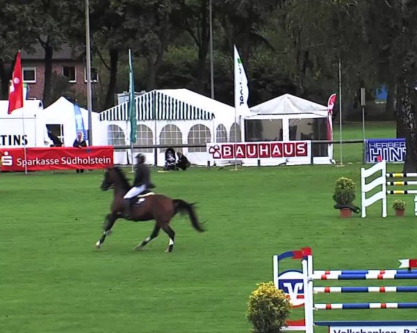 Reitturnier Bad Segeberg 2015