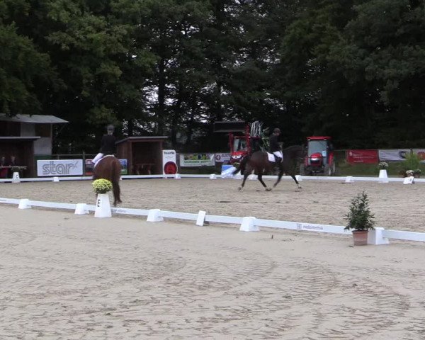 Dressurturnier Meinerzhagen 2015