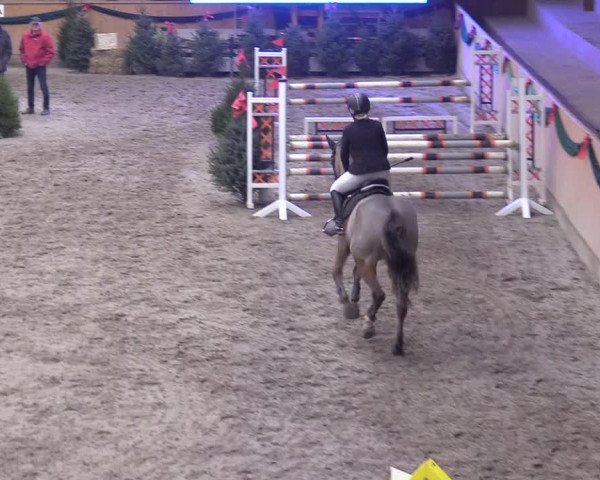 Adventsturnier Leck 2021