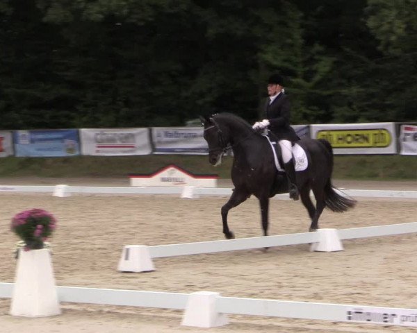 Dressurturnier Meinerzhagen 2015