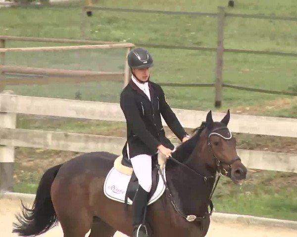 Reitturnier Linkenheim-Hochstetten 2015