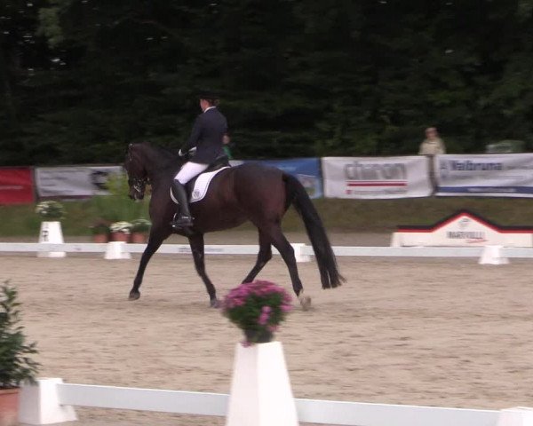 Dressurturnier Meinerzhagen 2015