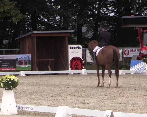 Dressurturnier Meinerzhagen 2015
