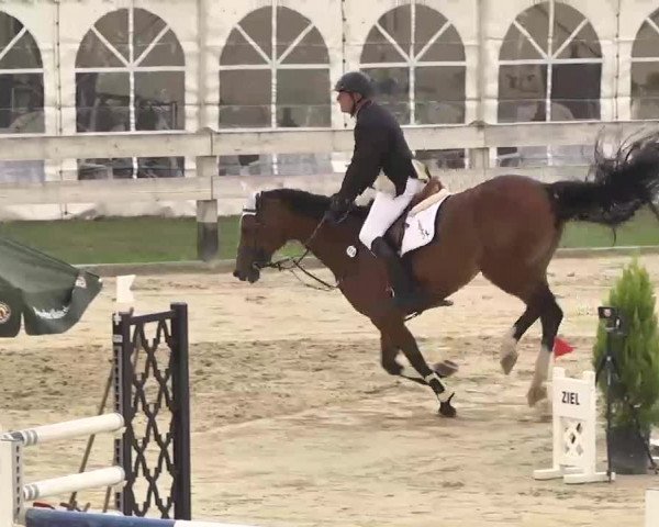 Reitturnier Linkenheim-Hochstetten 2015