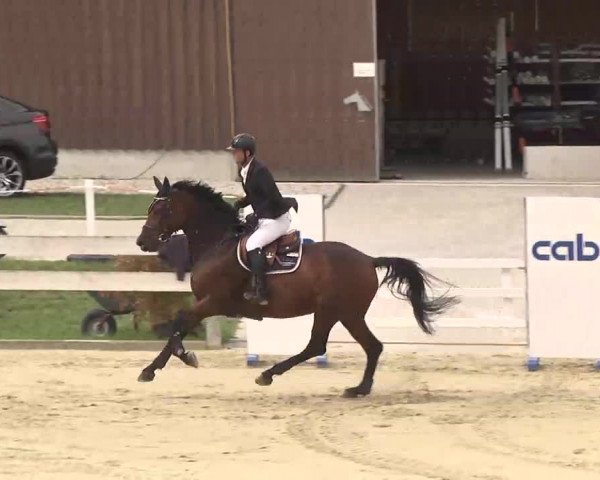 Reitturnier Linkenheim-Hochstetten 2015