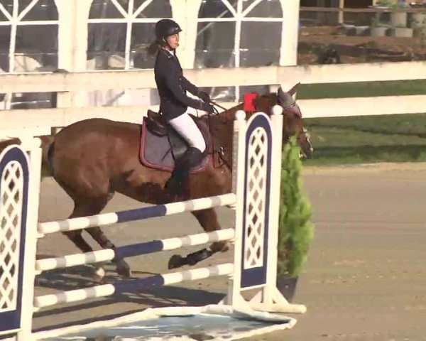 Reitturnier Linkenheim-Hochstetten 2015