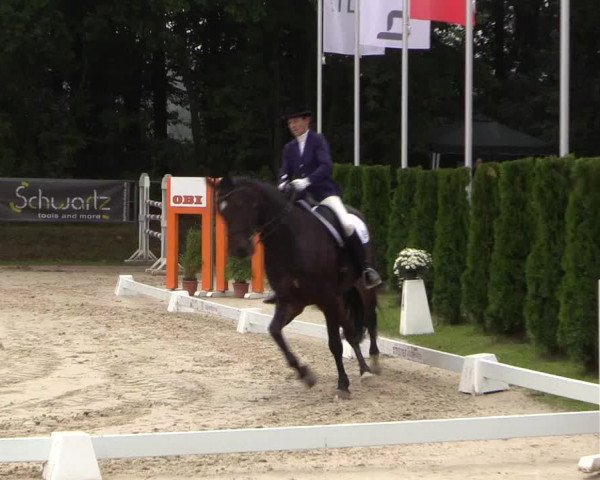Dressurturnier Meinerzhagen 2015