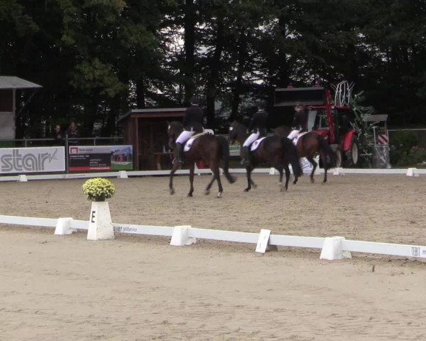 Dressurturnier Meinerzhagen 2015