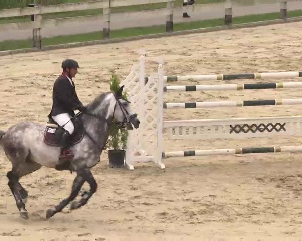Reitturnier Linkenheim-Hochstetten 2015