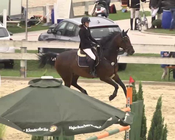 Reitturnier Linkenheim-Hochstetten 2015