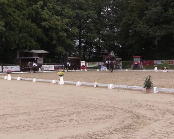 Dressurturnier Meinerzhagen 2015