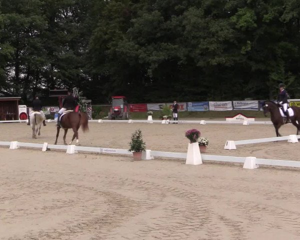 Dressurturnier Meinerzhagen 2015
