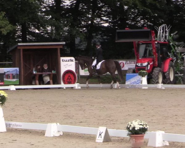 Dressurturnier Meinerzhagen 2015