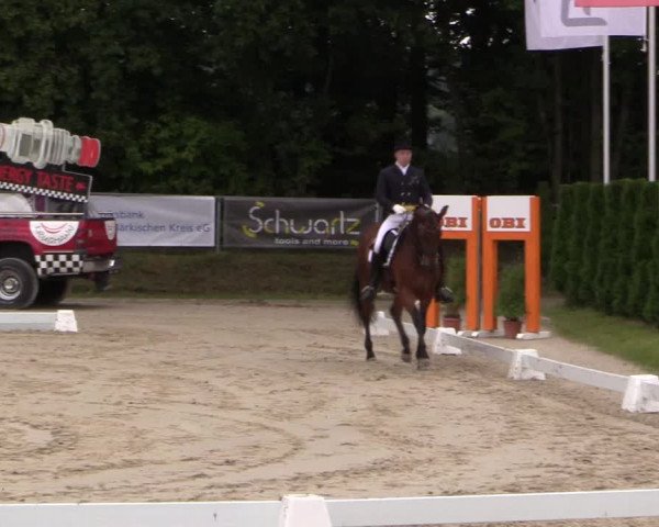 Dressurturnier Meinerzhagen 2015