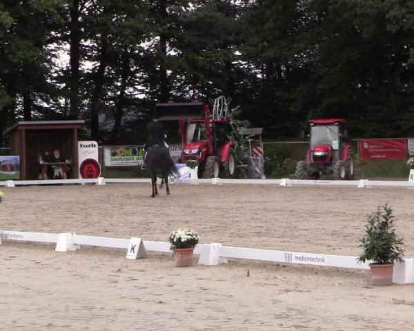 Dressurturnier Meinerzhagen 2015