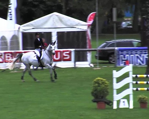 Reitturnier Bad Segeberg 2015