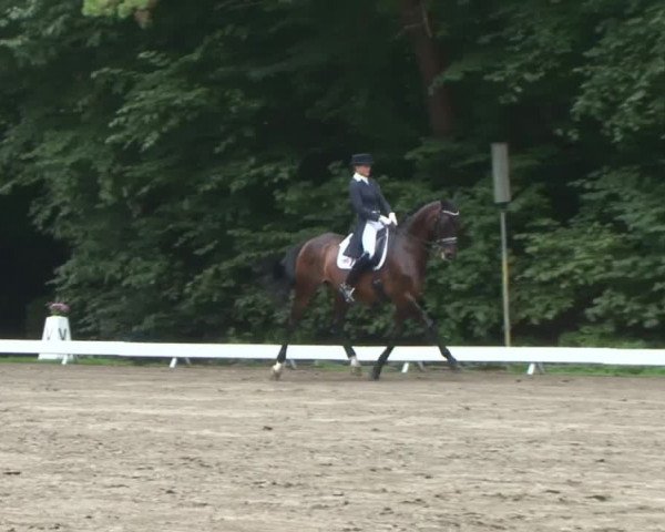 Reitturnier Bad Segeberg 2015