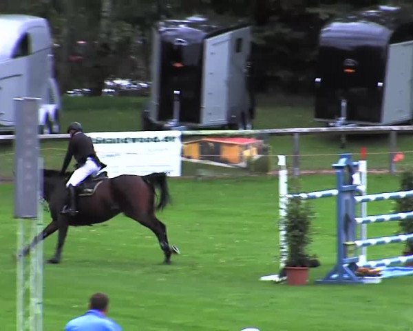 Reitturnier Bad Segeberg 2015