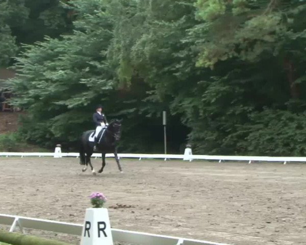 Reitturnier Bad Segeberg 2015