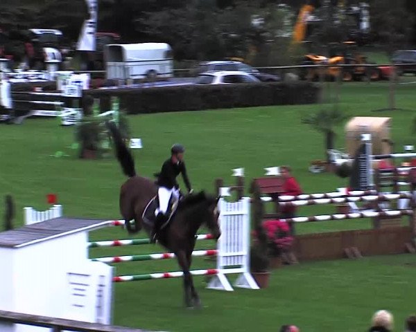 Reitturnier Bad Segeberg 2015