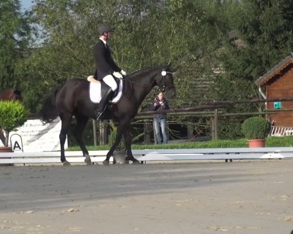 Reitturnier Lohmar-Hausdorp 2015