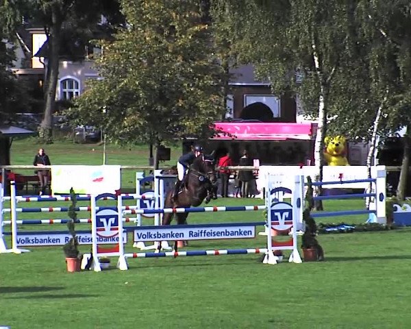 Reitturnier Bad Segeberg 2015