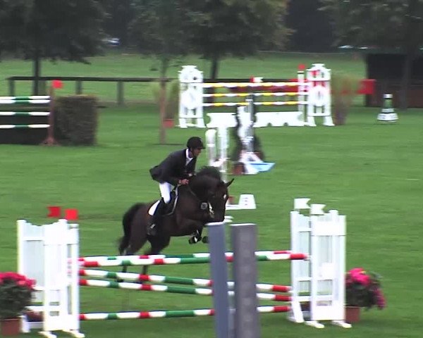 Reitturnier Bad Segeberg 2015