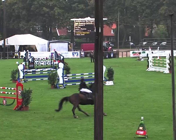 Reitturnier Bad Segeberg 2015