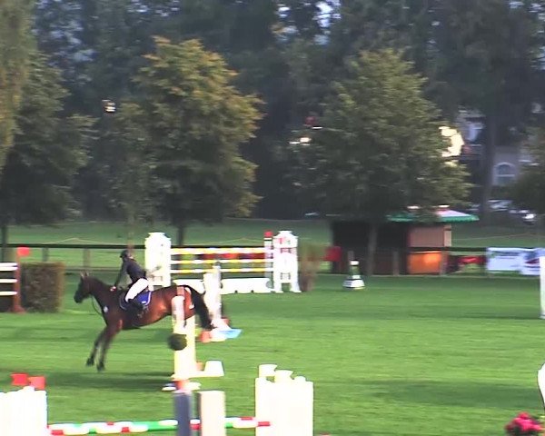 Reitturnier Bad Segeberg 2015