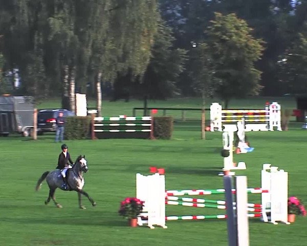 Reitturnier Bad Segeberg 2015