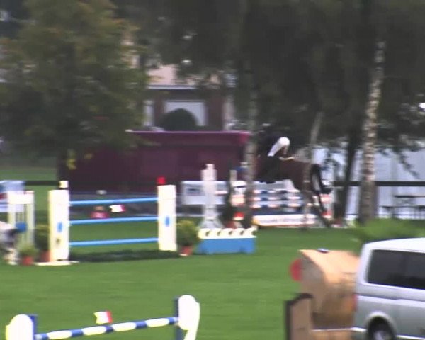 Reitturnier Bad Segeberg 2015