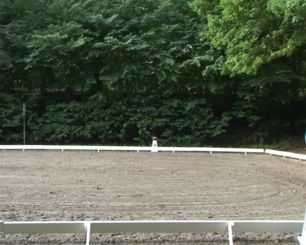 Reitturnier Bad Segeberg 2015