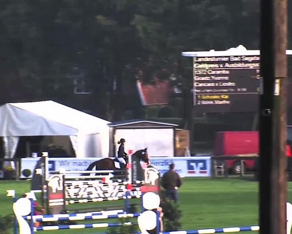 Reitturnier Bad Segeberg 2015